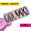 Esmalte ojo de gato Charm limit moonlight 5ml x6 unidades SERIE B - comprar online