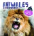 Animales extraordinarios - Hojas duras y flaps gigantes tamaño poster