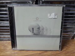 Animals As Leaders - The Madness Of Many
