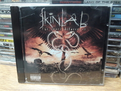Skinlab - The Scars Between Us