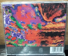 Spinetta y los Socios del Desierto - San Cristóforo - comprar online