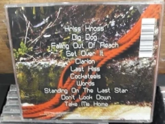 Guillemots - Red - comprar online