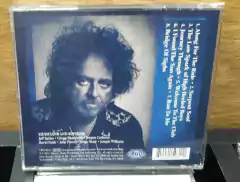 Steve Lukather - I Found the Sun Again - comprar online