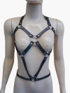 Harness Ariel