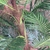 Planta Florianópolis - comprar online