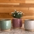 Maceta Concordia Small