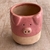 Maceta Zoo Chancho - comprar online