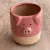 Maceta Zoo Chancho - comprar online