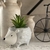 Planta Animal Kingdom L - comprar online