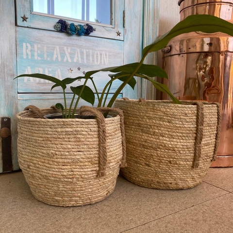 Canasto Mondrago Crudo