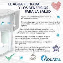 Jarra Lily Blanca - Combo 3 filtros - tienda online