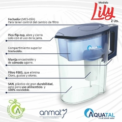Jarra Lily Azul - Combo 2 filtros - comprar online