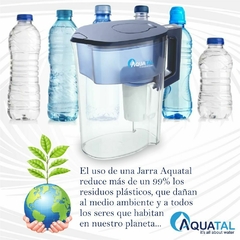 Jarra Lily Azul - Combo 2 filtros en internet