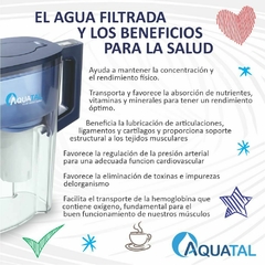 Jarra Lily Azul - Combo 2 filtros - tienda online