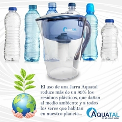 Jarra Rose Azul en internet