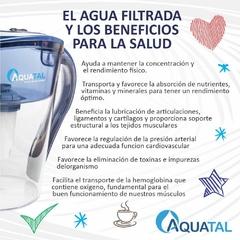 Jarra Rose Azul - Aquatal