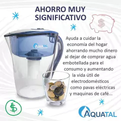 Jarra Rose Azul - Combo 3 filtros - tienda online