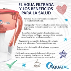 Jarra Rose Roja - Aquatal