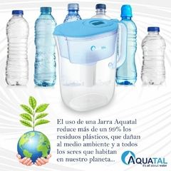 Jarra Jasmine Celeste en internet