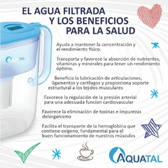 Jarra Jasmine Celeste - tienda online