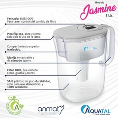 Jarra Jasmine Gris - Combo 3 filtros - comprar online