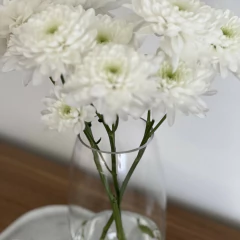 Florero Rabat en internet