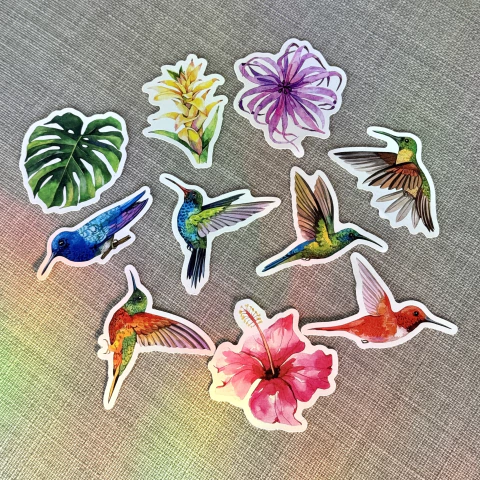 Pack Colibries - x10u - comprar online