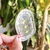 Suncatcher Pequeño - Todo Pasa - ÚNICO