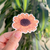 Sticker UV - Sunflower en internet