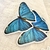 Holo UV - Mariposa Azul en internet