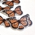 Holo Arena UV - Mariposa Naranja - tienda online