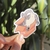 Sticker UV - Frágil @smallpolar.bear - comprar online