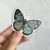 Holo Glitter UV - Mariposa Iguazú