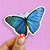 Holo UV - Mariposa Azul