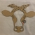 APCOUNTRY15 - comprar online