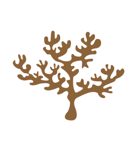 APNAUTICO28 - comprar online