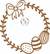APPASCOA11 - comprar online
