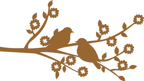 APPÁSSAROS44 - comprar online