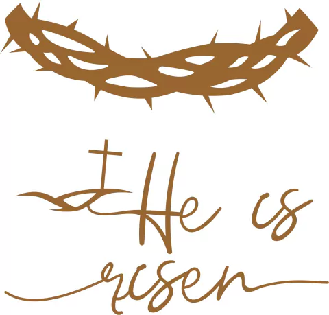 APPASCOA93 - comprar online