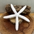 GESSO03 - 17x18cm - comprar online