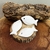 GESSO01 - Kit Peixes - 7x4cm