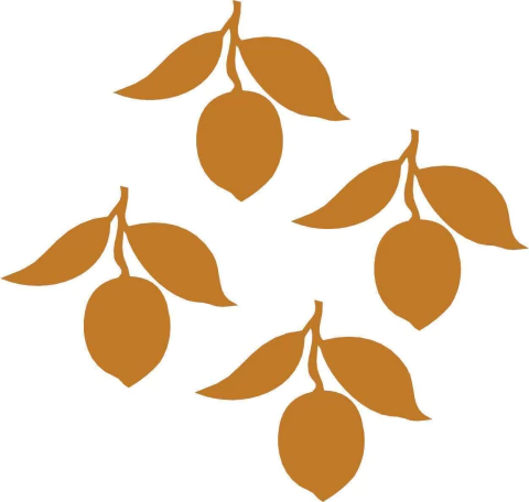 APLIMÃO06 - KIT 4un - comprar online