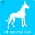 STPETS23 - comprar online