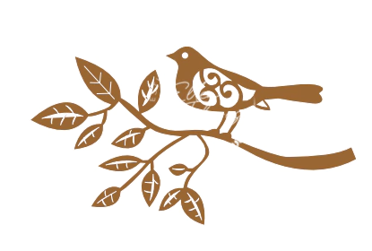 APPÁSSAROS41 - comprar online