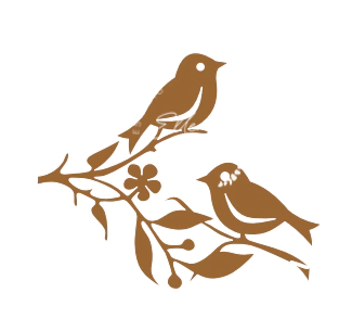 APPÁSSAROS30 - comprar online