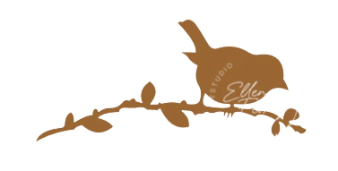 APPÁSSAROS27 - comprar online