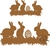 APPASCOA06 - comprar online