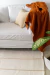 Alfombra Rustica Algodon Pesado 150x130 Cm Premium - Raya beige - Una Casa Mil Hogares