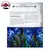 Warhammer Fantasy Role-Play – El Imperio en Ruinas Compendio en internet