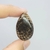 Pinha Fossilizada 3,4cm